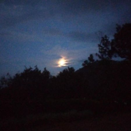 Abiyal Mountain Stay Madikeri Zewnętrze zdjęcie