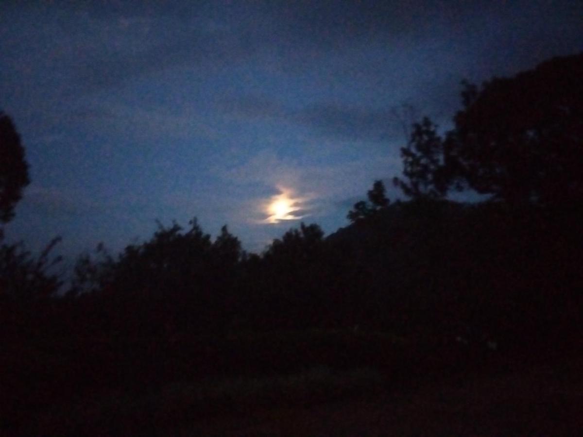 Abiyal Mountain Stay Madikeri Zewnętrze zdjęcie