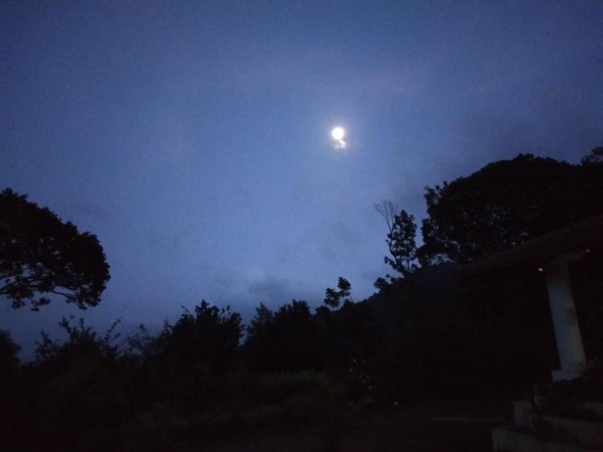 Abiyal Mountain Stay Madikeri Zewnętrze zdjęcie